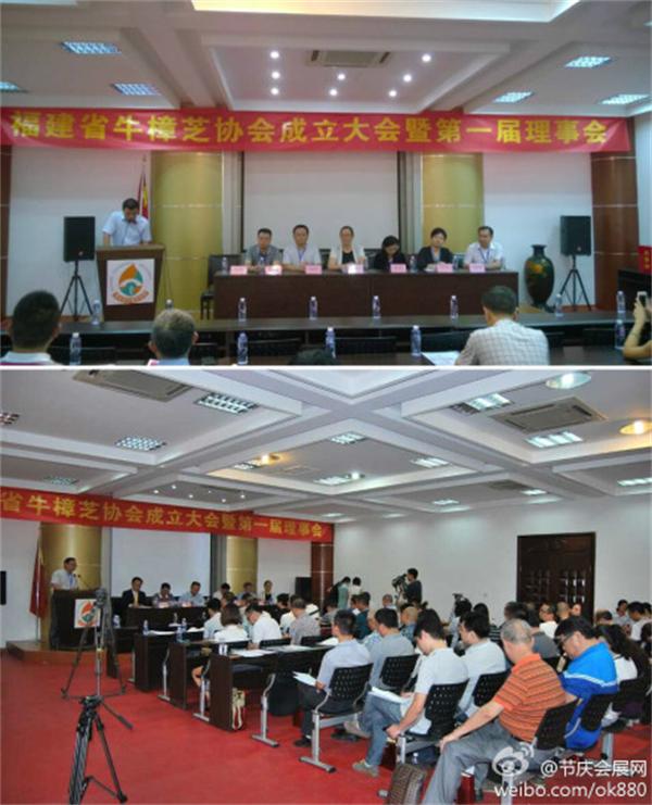 中国第一家牛樟芝协会于福建2014.8.8成立。