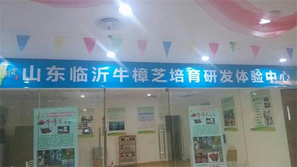 山东临沂牛樟芝培育体验中心