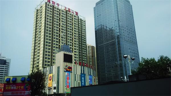 山东临沂牛樟芝培育体验中心