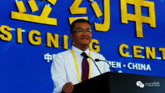 牛樟芝功效与作用