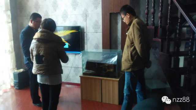 台湾牛樟芝面膜