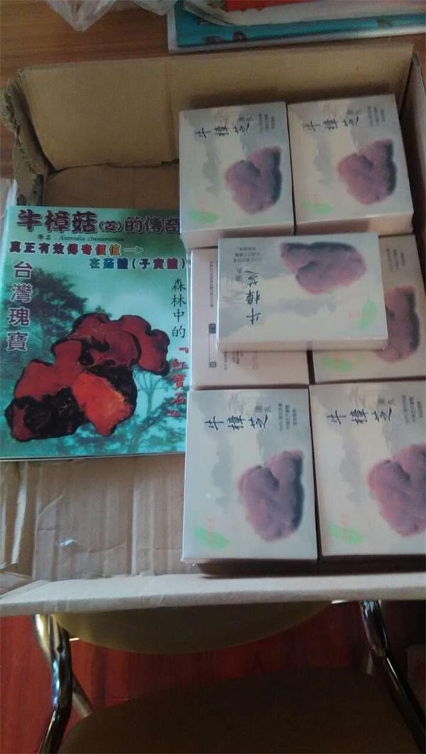 台湾牛樟菇产品