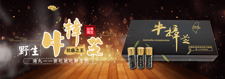 台湾野生牛樟芝滴丸