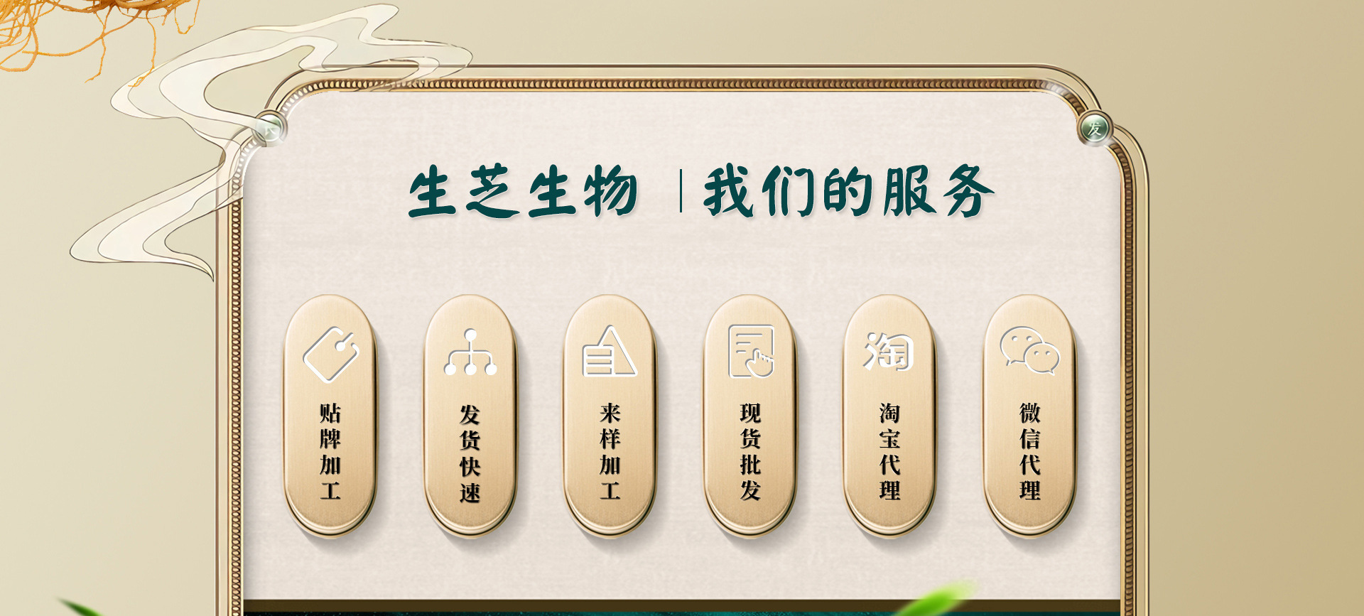 牛樟芝招商加盟代理