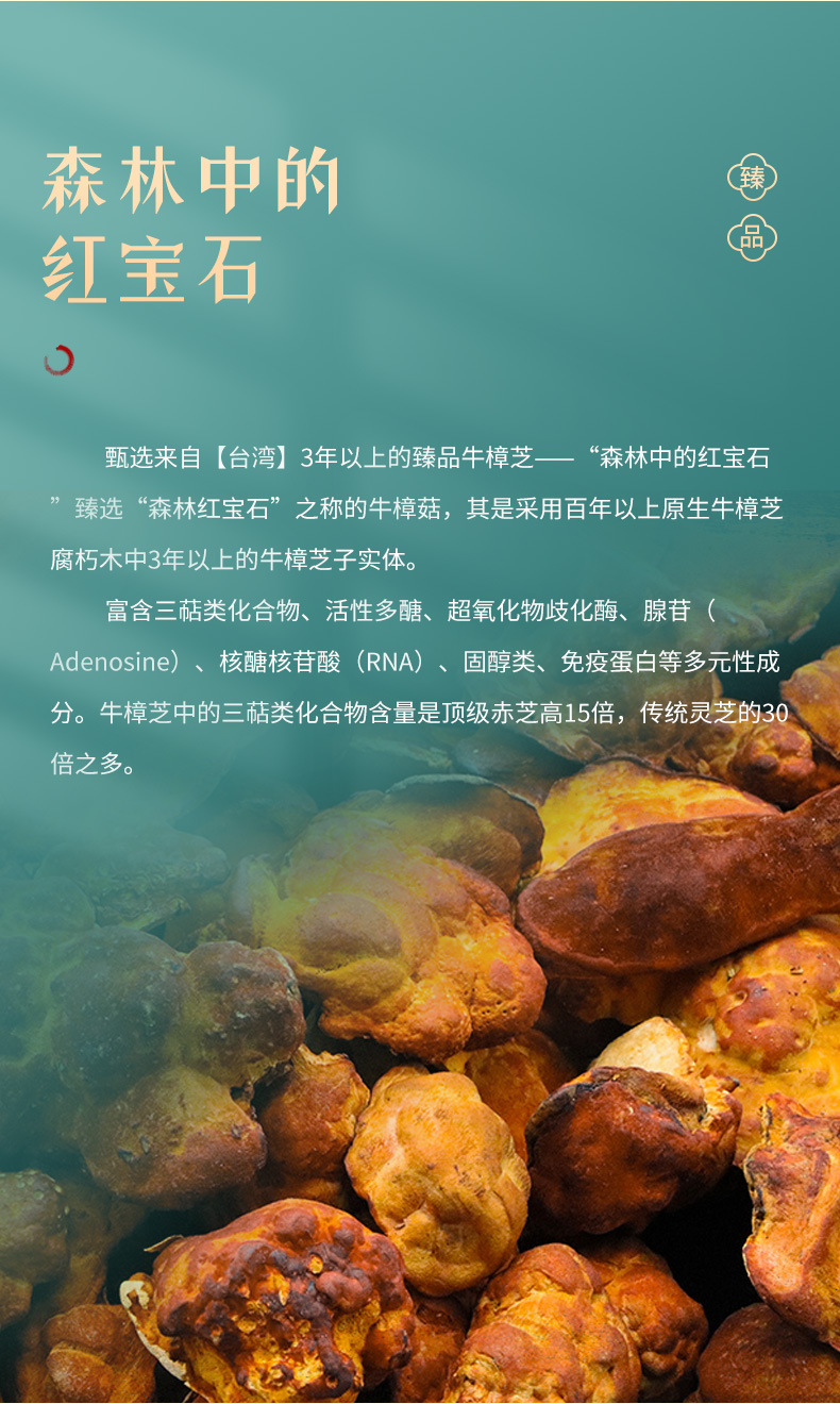 牛樟芝招商加盟代理